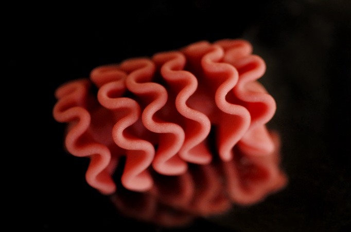 בובה סמוקת לחיים