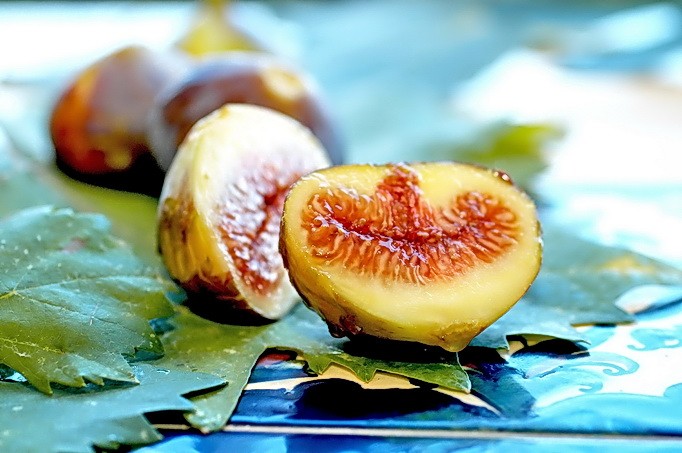 נשיקת התאנה