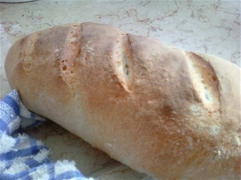 לחם שאור